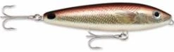 Lures & Tackle Rapala Saltwater Skitter Walk (Multiple Colors)