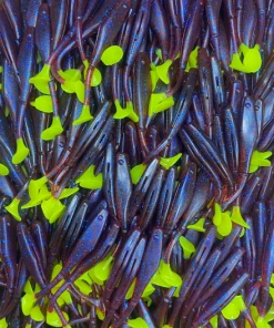 KWigglers Wig-A-Lo 6 Pack Lures & Tackle