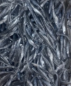 KWigglers Wig-A-Lo 6 Pack Lures & Tackle