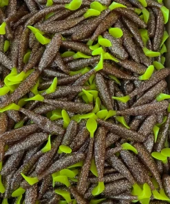 KWigglers Paddle Tail 4