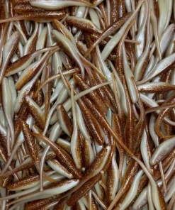 KWIGGLERS Ball Tail Shad 7 Pack (Multiple Colors)