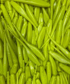 KWIGGLERS Ball Tail Shad 7 Pack (Multiple Colors)