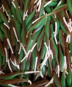 KWIGGLERS Ball Tail Shad 7 Pack (Multiple Colors)