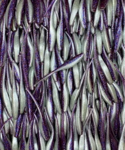 KWIGGLERS Ball Tail Shad 7 Pack (Multiple Colors)